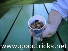  Fill the cup with coins