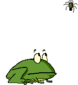 Chameleon picture
