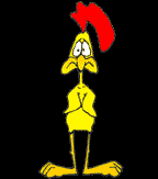 David Blaine street magic bird illusion, appear to cut off a chicken's head.