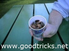 Fill the cup with coins