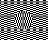 Amazing optical illusion where the ball seems to be moving.