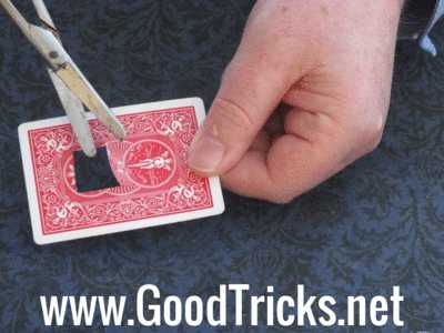 Make your gimmick by cutting a flap in the center of a playing card as shown here.