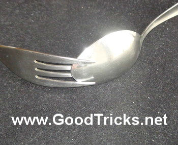 View the set up of the spoon & fork with the first and last tines of the fork overlapping the spoon.