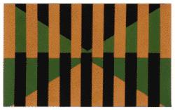 No need for an eye test. The green is actually all the same shade.