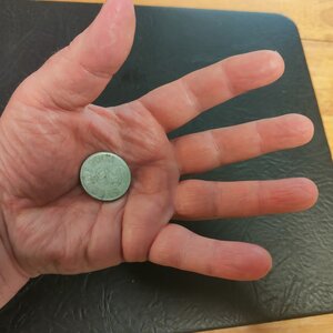 Classic Palm