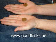 Coins are placed in hand as shown. Left hand coin in center of palm. Right hand coin is nearer to the thumb.