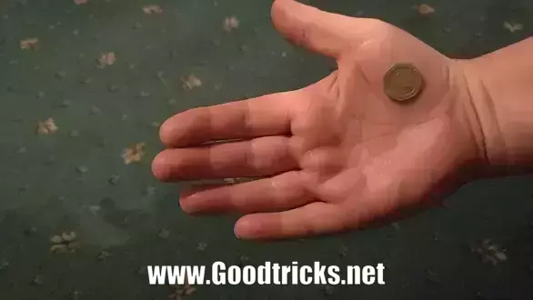 A coin is seen to be made to disappear in the palm of a hand.