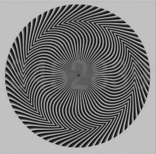 Spiral with hidden numbers.