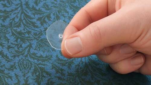 Small disc with hole in center.